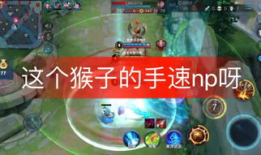 王者91星猴子直播,揭秘高星段位猴子的独门技巧与心路历程